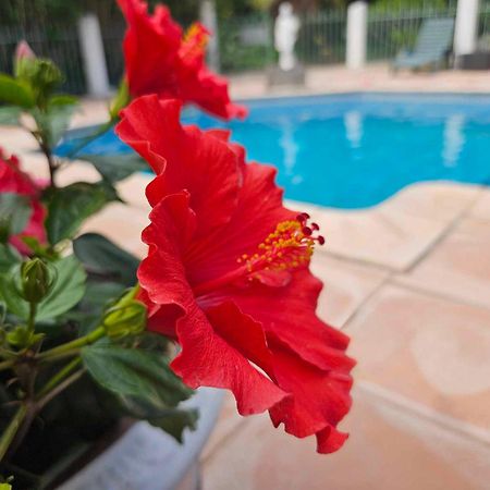 Les Jardins Du Patriarche Hotel Agde Eksteriør bilde