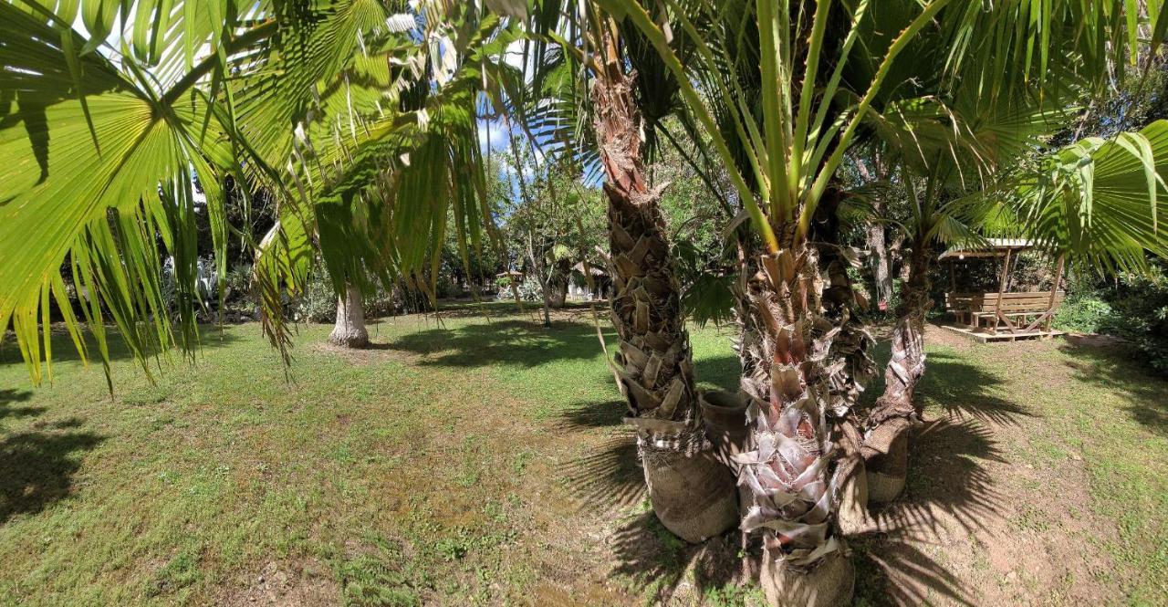 Les Jardins Du Patriarche Hotel Agde Eksteriør bilde