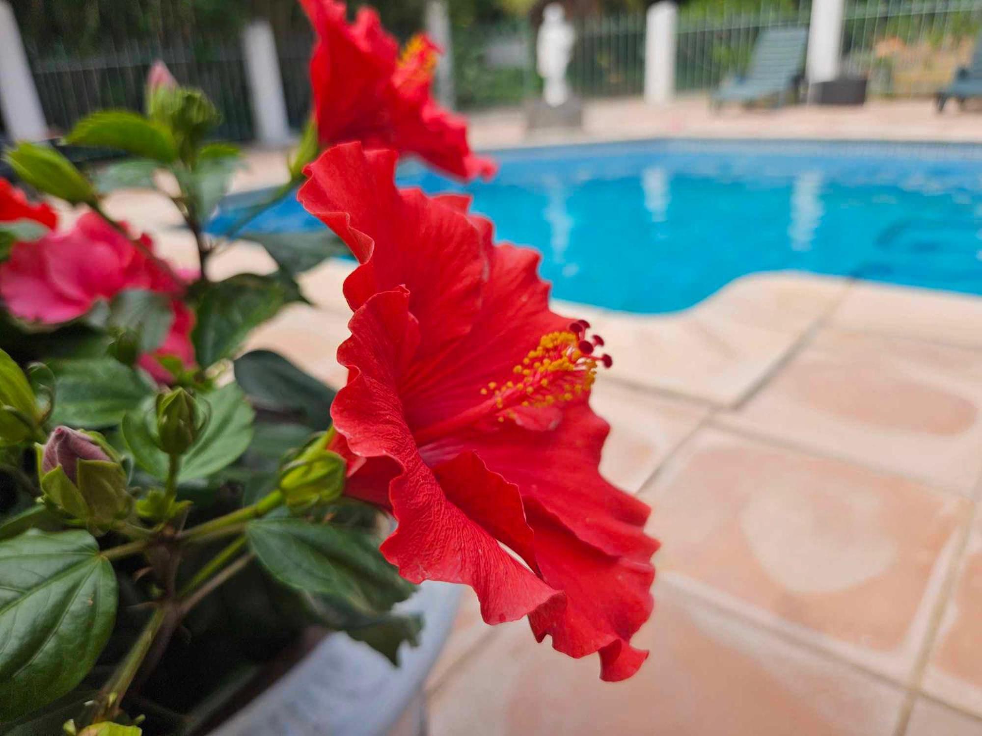 Les Jardins Du Patriarche Hotel Agde Eksteriør bilde
