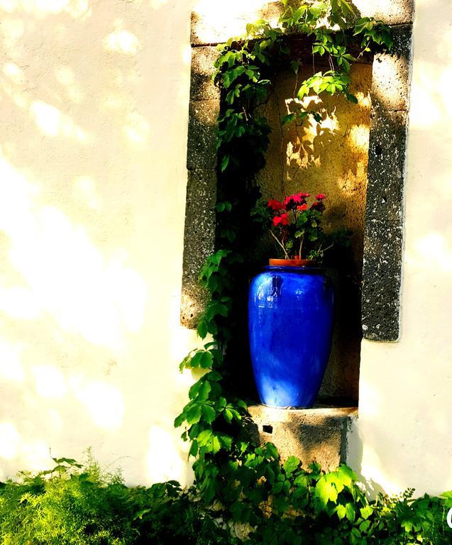 Les Jardins Du Patriarche Hotel Agde Eksteriør bilde
